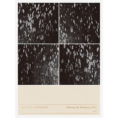 Ryuichi Sakamoto | Playing the Orchestra 2014(DVD) – commmonsmart