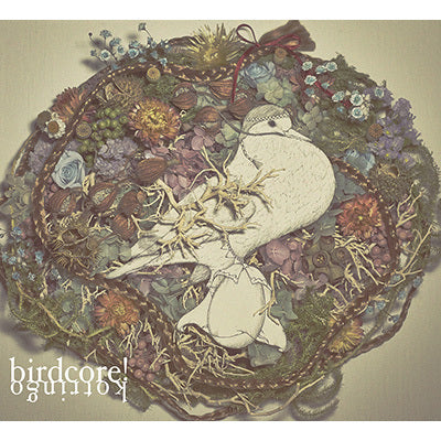 birdcore!(CD)