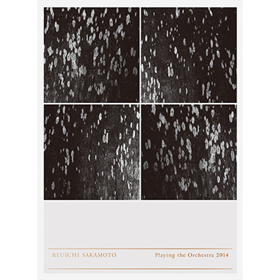 Ryuichi Sakamoto | Playing the Orchestra 2014（Blu-ray+2枚組CD+DVD）