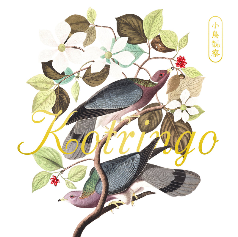 小鳥観察 Kotringo Best（2CD）